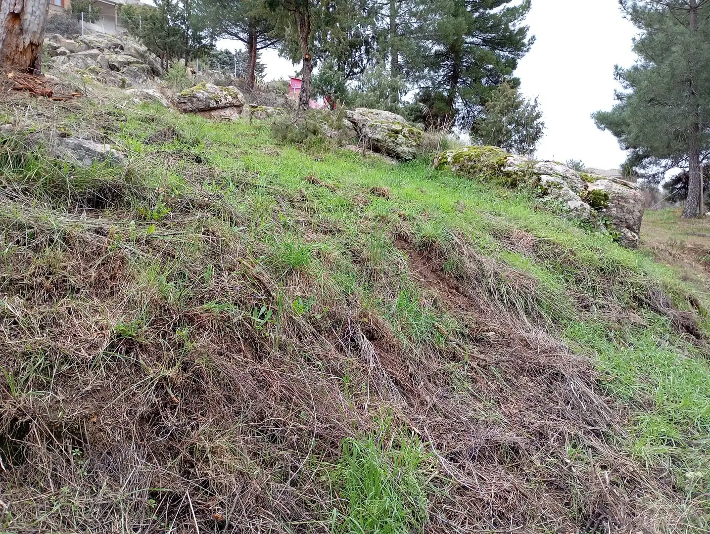 Terreni e lotti in vendita a Robledo de Chavela, imagen 14