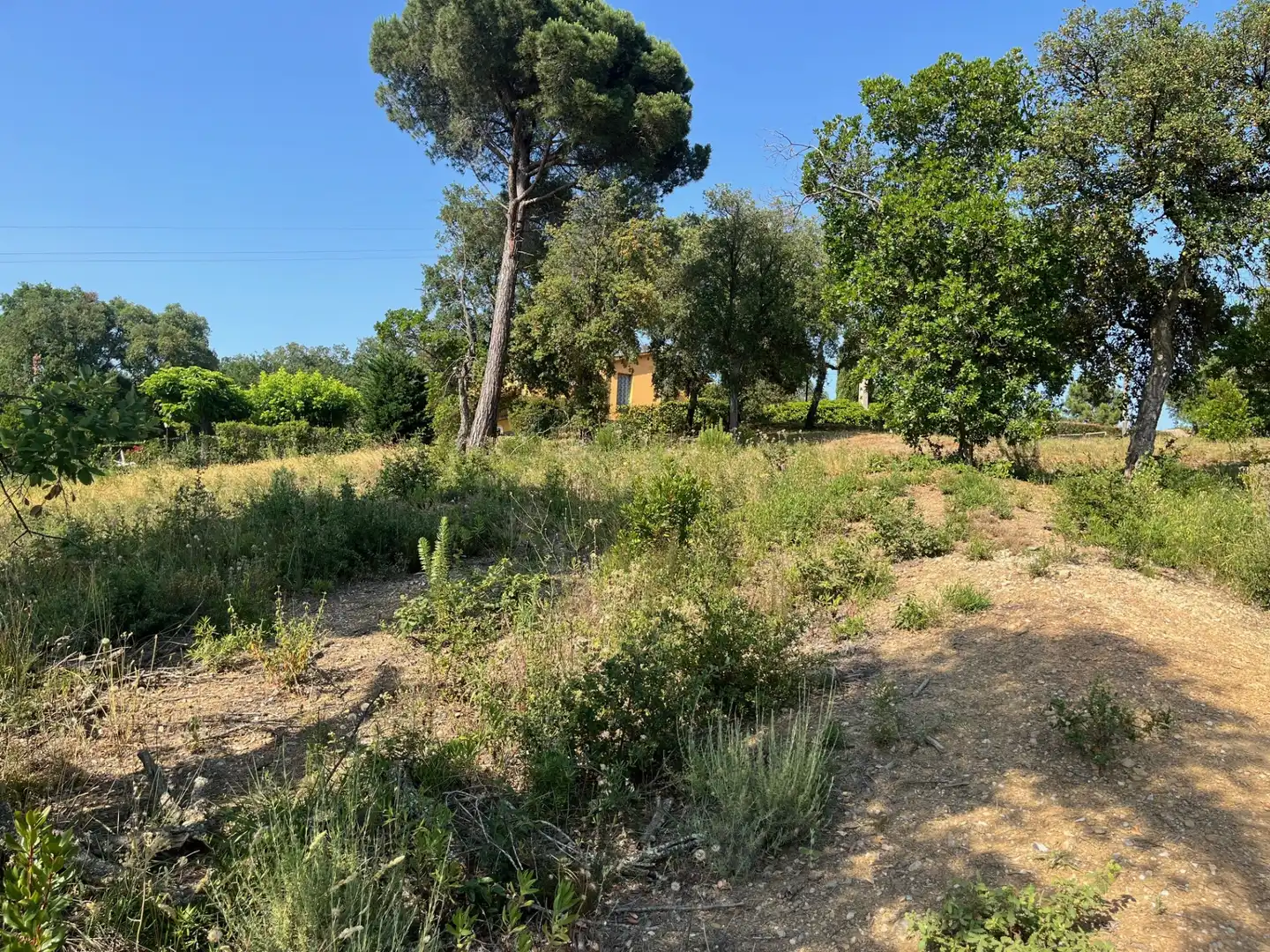 Terrain résidentiel à vendre à Carrer d'Urgell 11, imagen 5