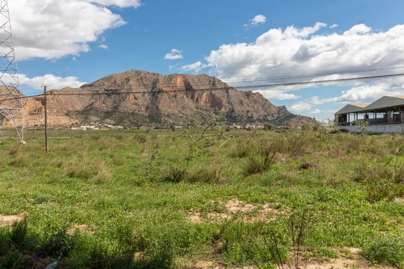 Rural land for sale in Montepinar - La Aparecida - Raiguero