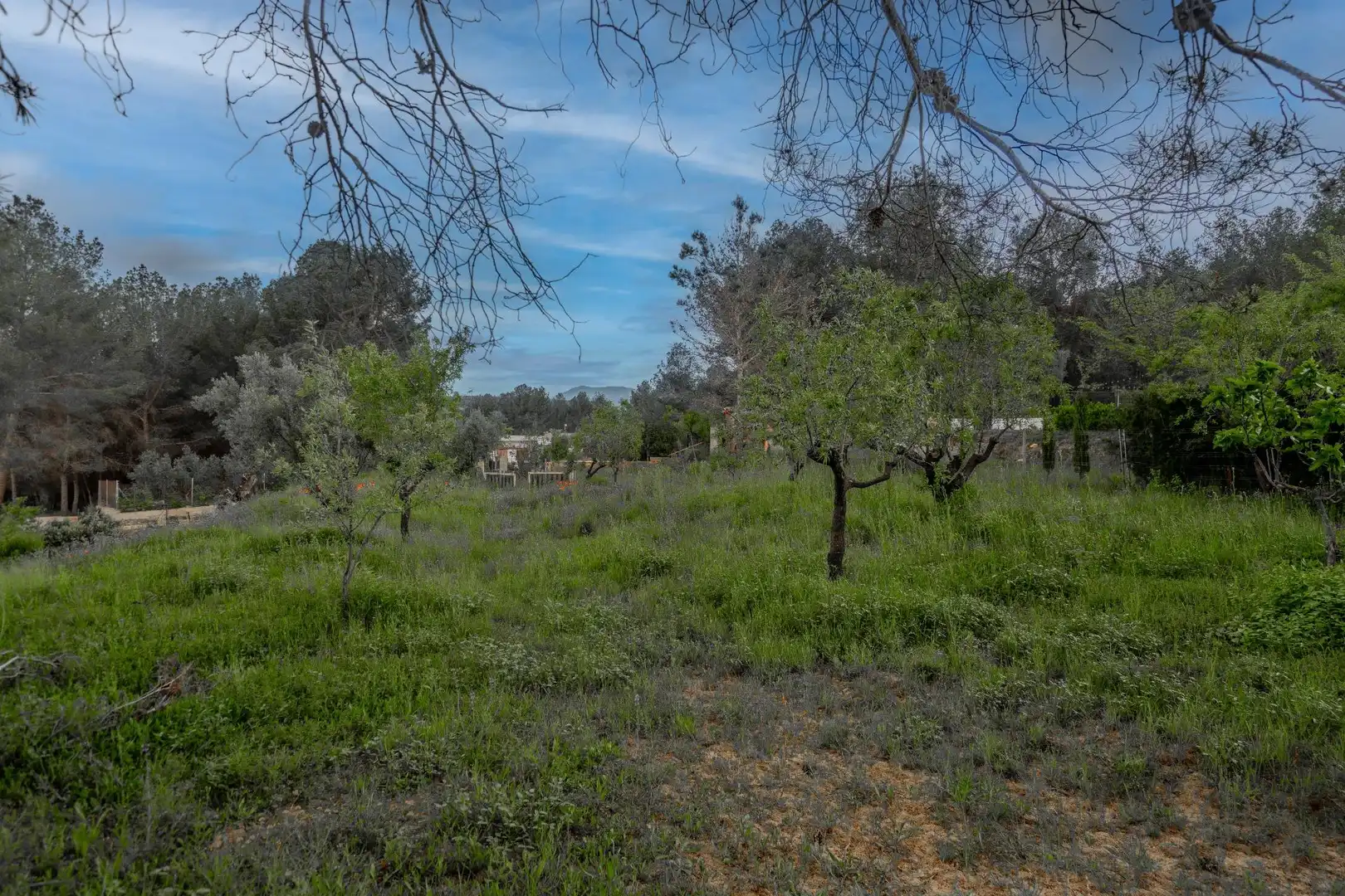 Country homes for sale in Jérica
