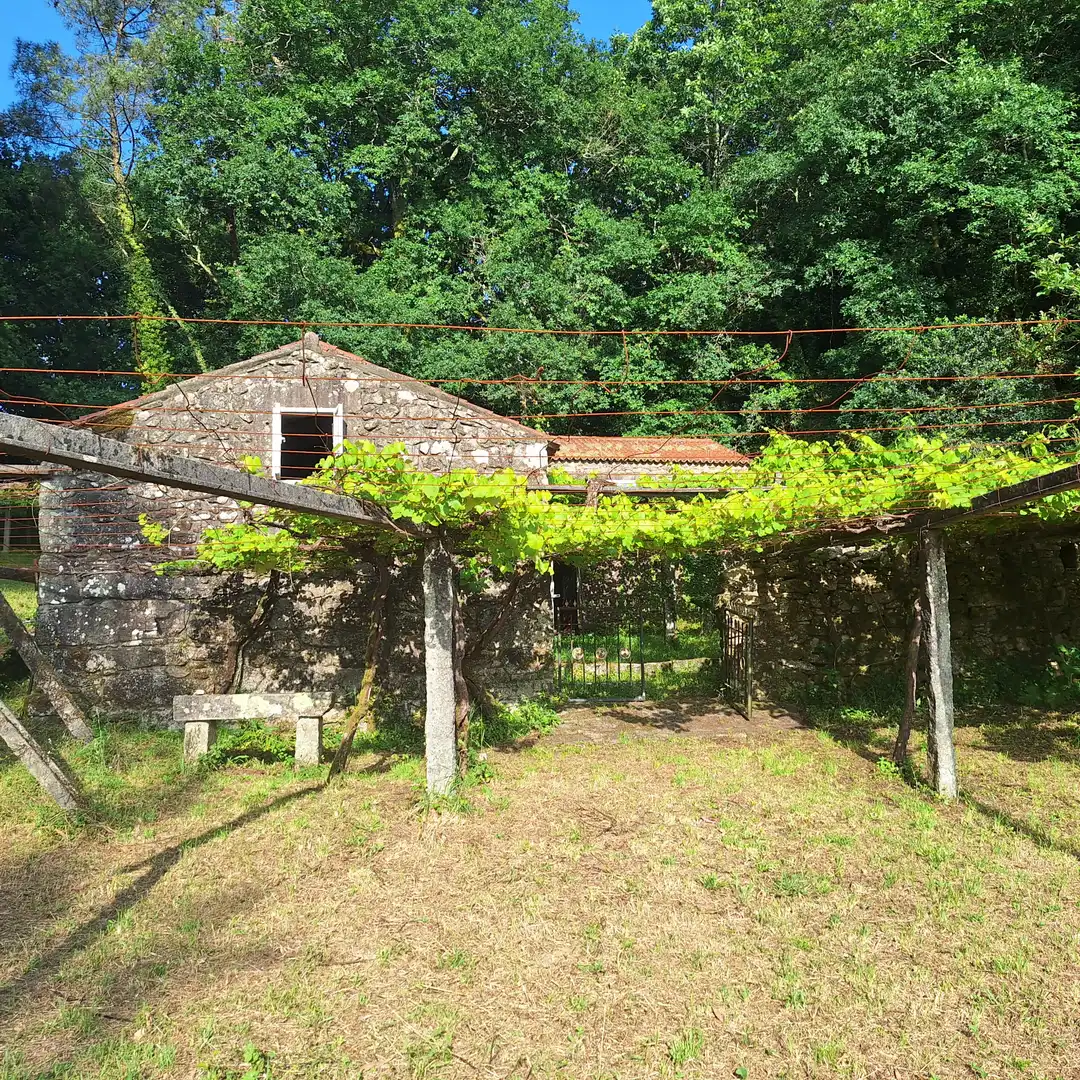 Jardín de Casa o chalet en venta en Barro