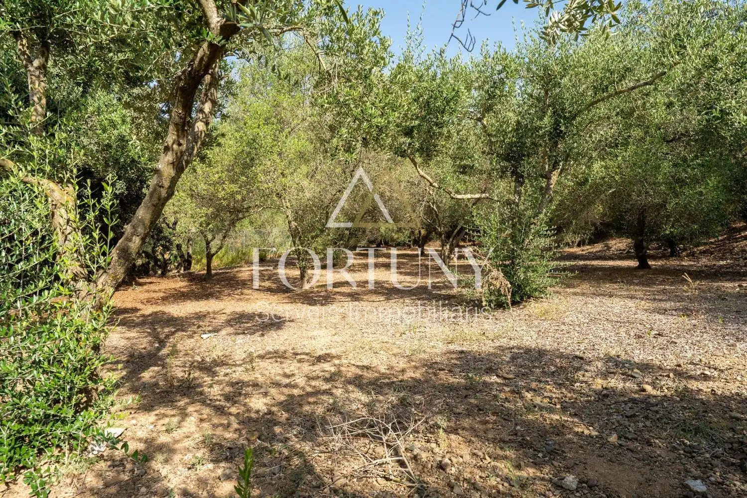 House with pool for sale in del Freixe, imagen 36