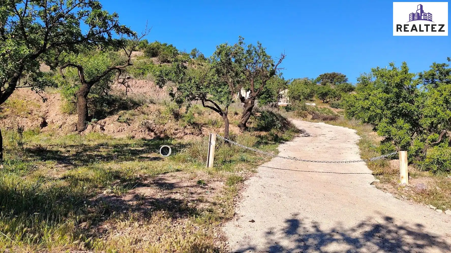 Rural land for sale in Felix, imagen 2