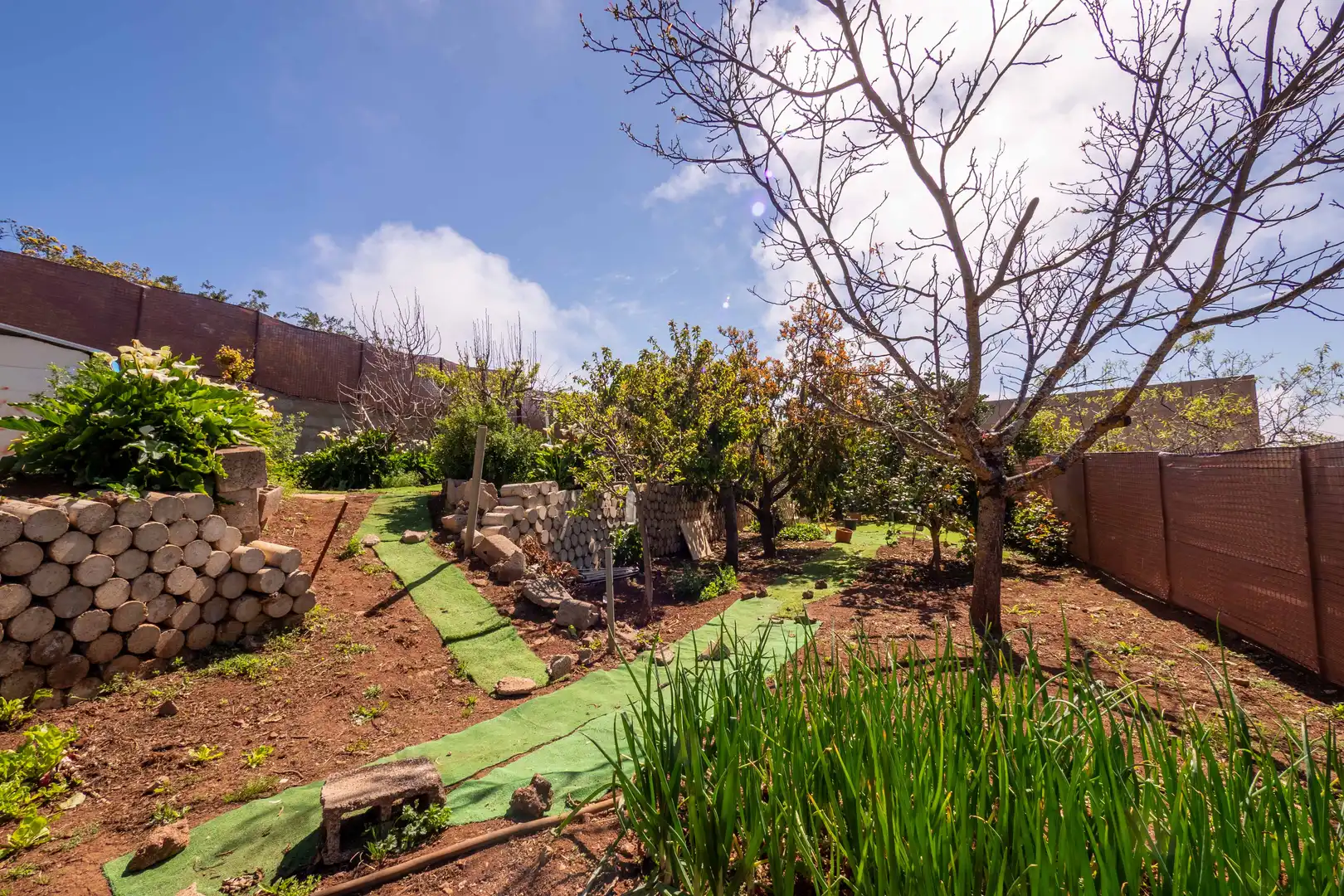 Jardí de Casa o xalet en venda en Vega de San Mateo amb Calefacció, Jardí privat i Terrassa