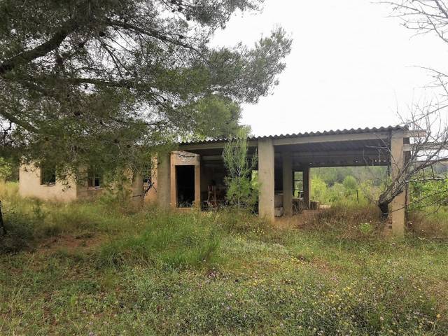 Terreno en Venta en  POLIGONO 29, 43 en Anna