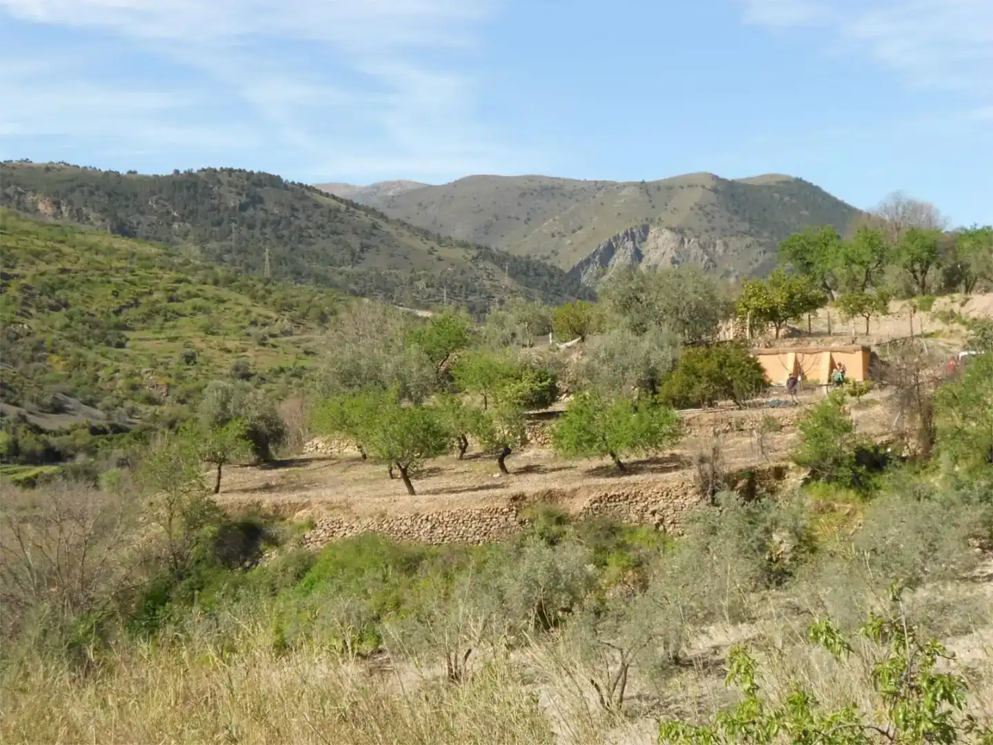 Vista exterior de Terreno en venta en Almegíjar