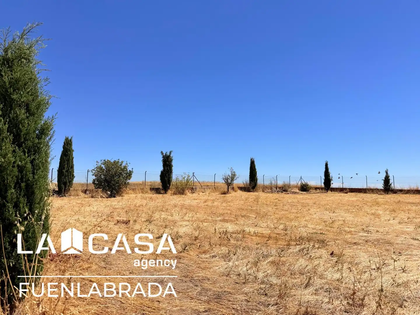 Casa amb piscina en venda a Camino Camarena, imagen 62