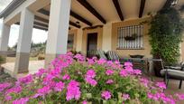 Jardí de Casa o xalet en venda en Arroyo de la Luz