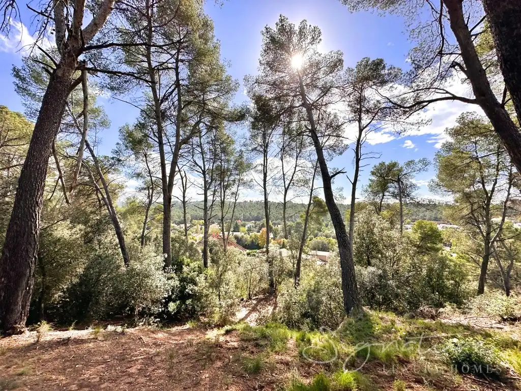 Houses for sale in Golf - Can Trabal