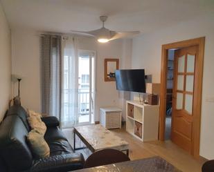 Sala d'estar de Pis de lloguer en  Granada Capital amb Moblat, Forn i Rentadora
