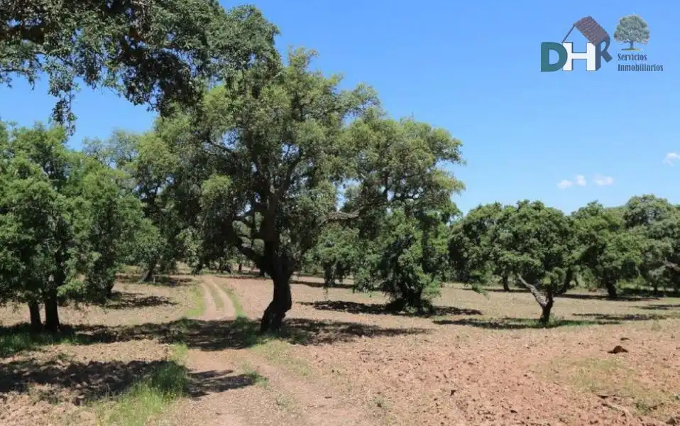 Terreni e lotti in vendita a San Roque - Ronda Norte, imagen 4
