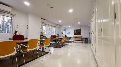 Foto 4 de Oficina de lloguer a Carranque - Haza Cuevas, Málaga Capital