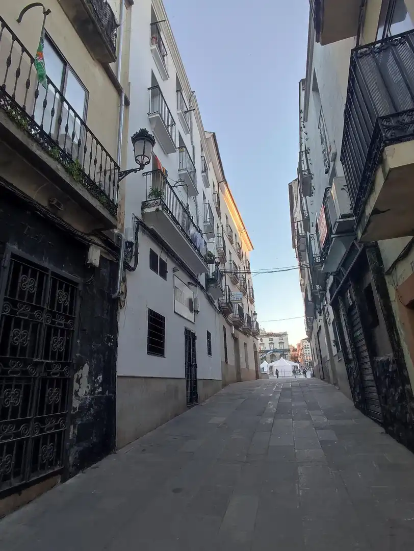 Immobles singulars en venda a Casco Antiguo, imagen 3