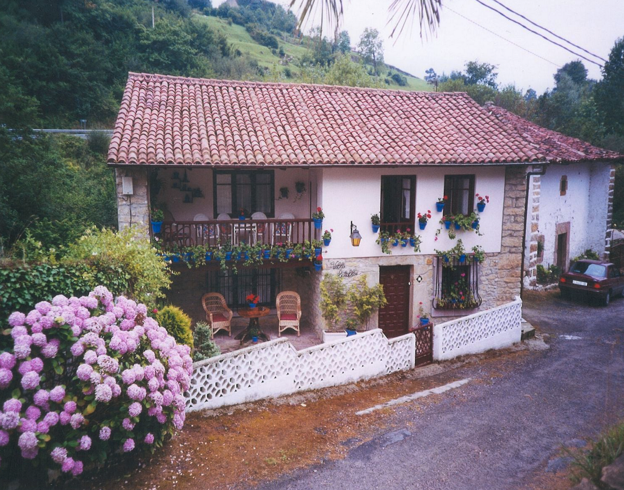 Vista exterior de Casa o xalet en venda en Peñamellera Baja amb Jardí privat, Terrassa i Traster
