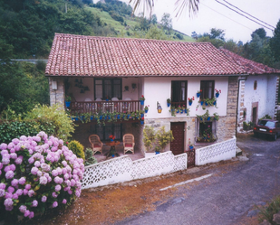 Vista exterior de Casa o xalet en venda en Peñamellera Baja amb Terrassa i Balcó