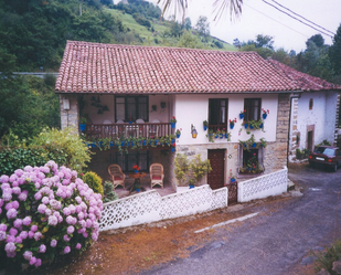 Vista exterior de Casa o xalet en venda en Peñamellera Baja amb Jardí privat, Terrassa i Traster