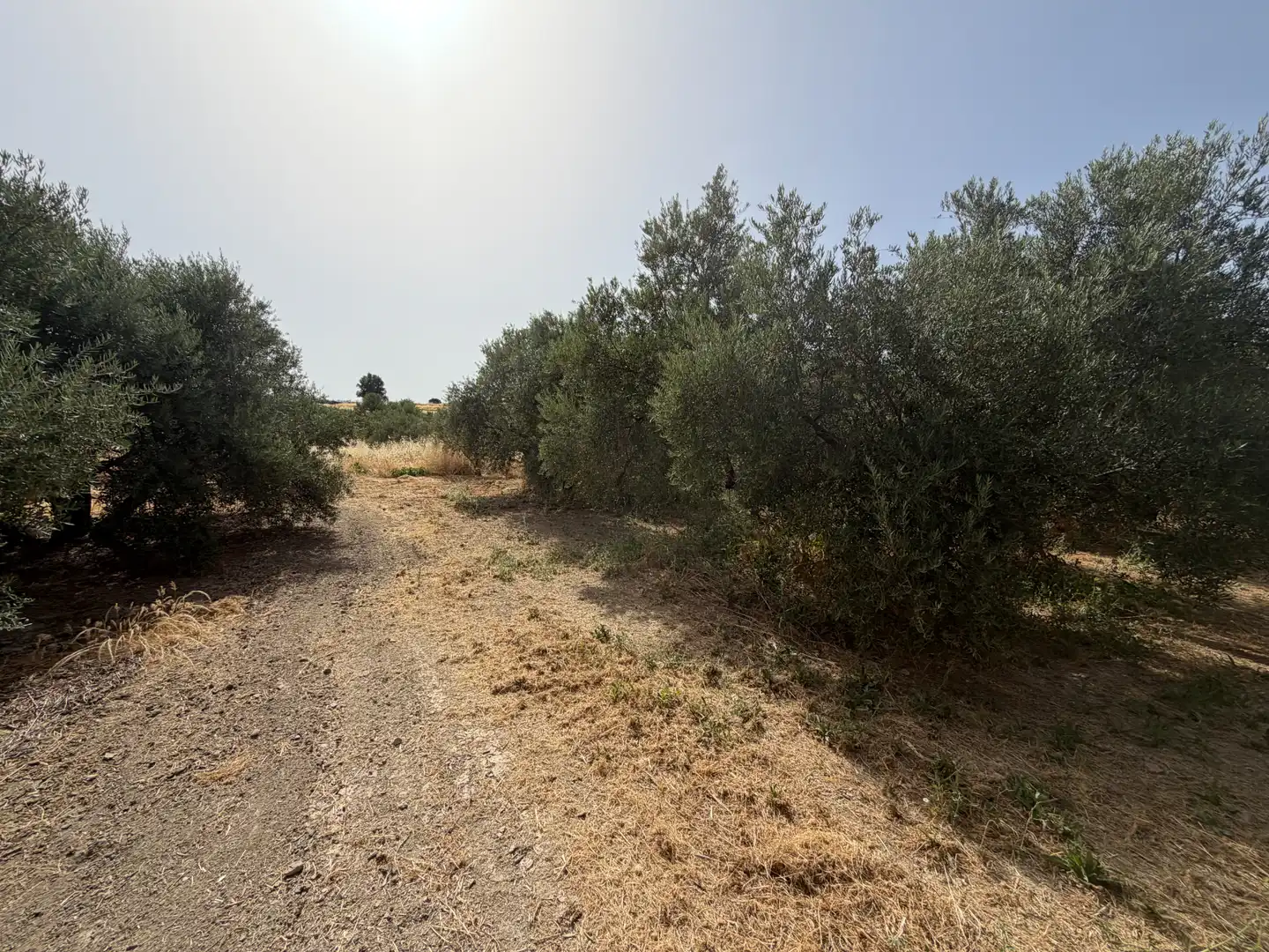 Terrenos y solares en venta en Carretera de Circunvalación 55D, imagen 4