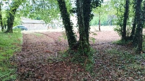 FINCA RÚSTICA CON POTENCIAL MADERABLE E INVERSIÓN EN LUGO, immagine 5