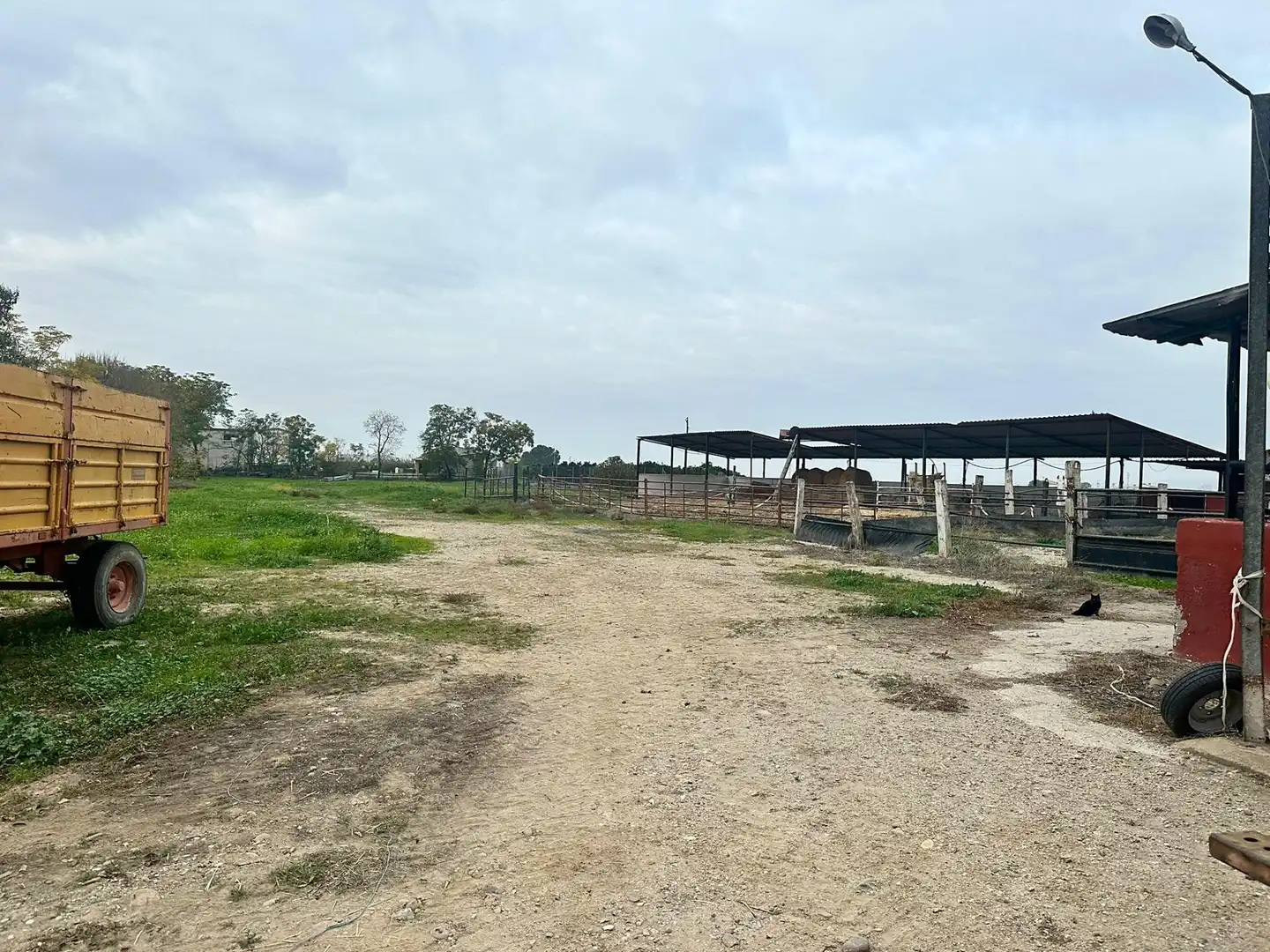 Finca rústica en venda a Villarrubia