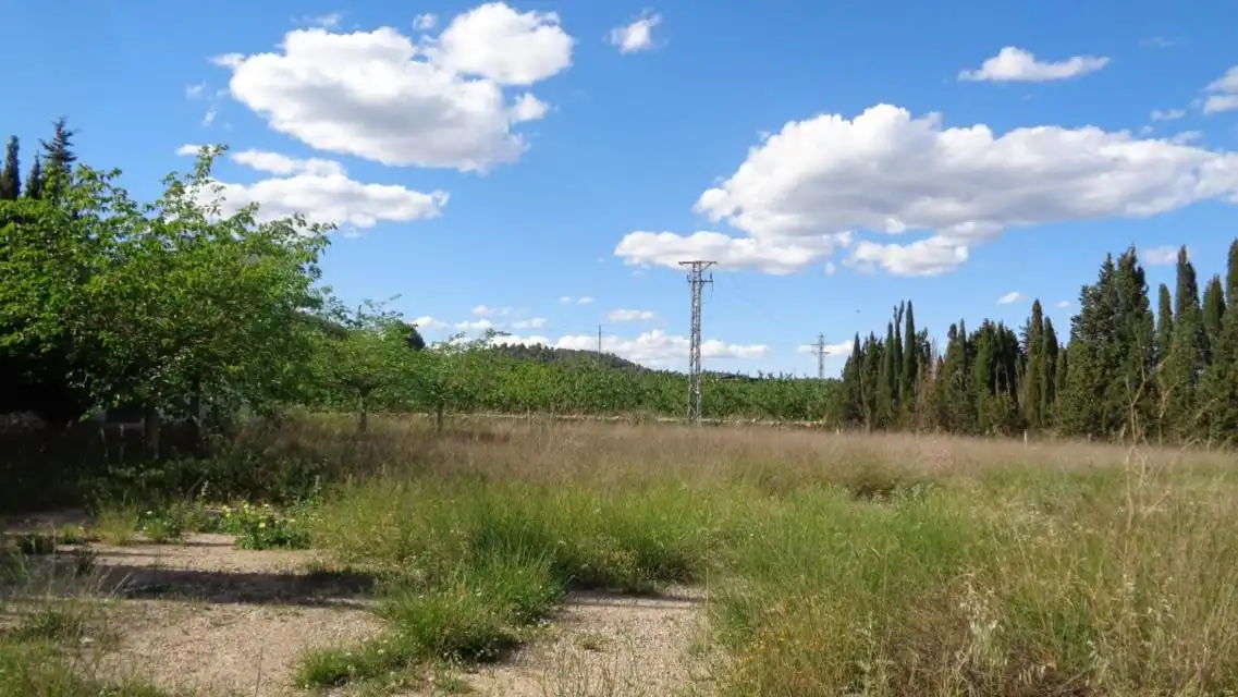 Industriegebäude zum Verkauf in CREU, imagen 12