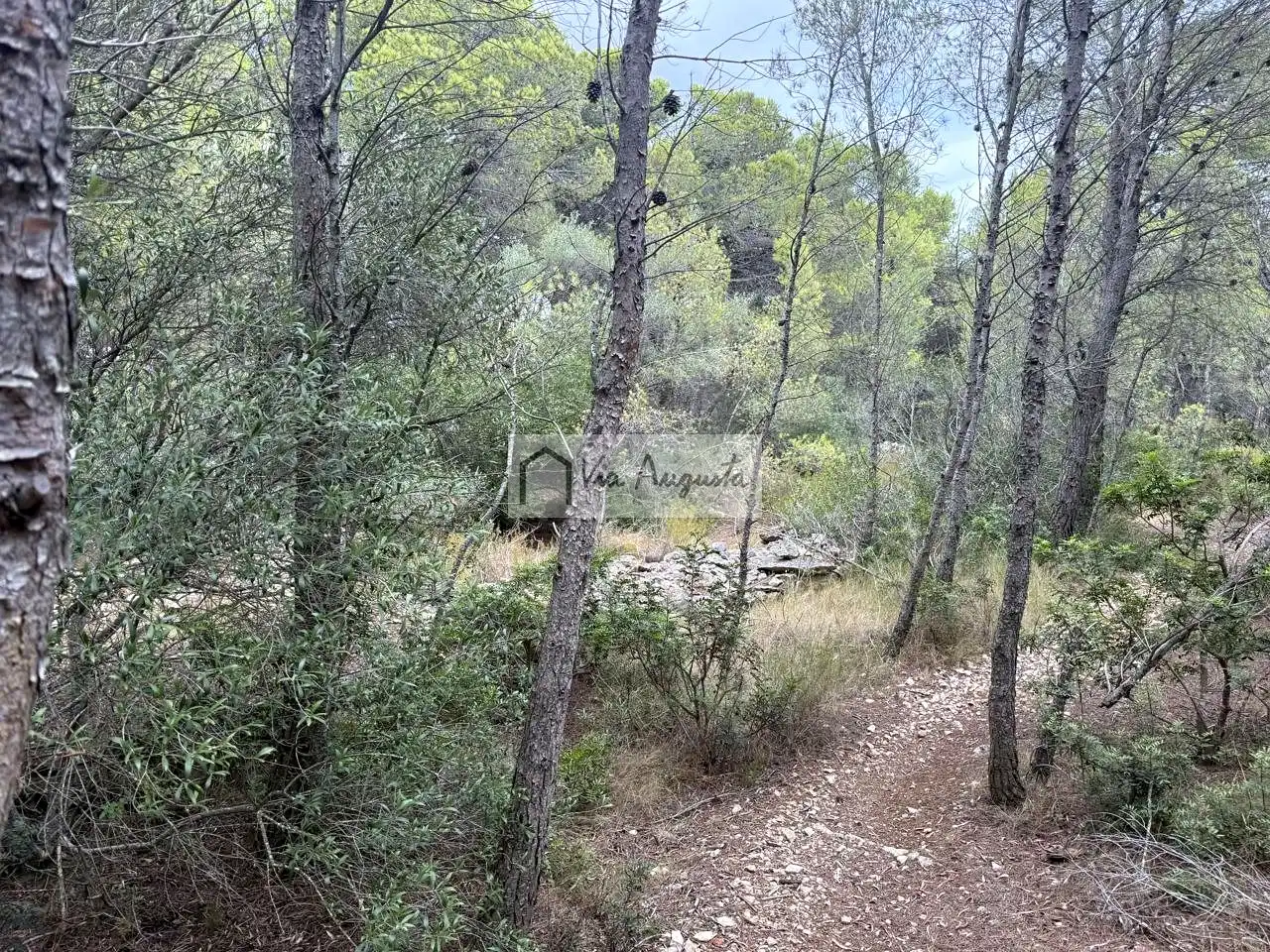 Terreno rústico en venta en Racons, imagen 11