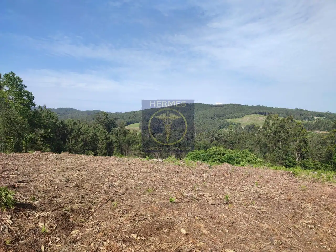 Land for sale in Tui