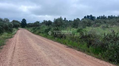 Foto 5 de Finca rústica en venda a Puebla de Obando, Badajoz