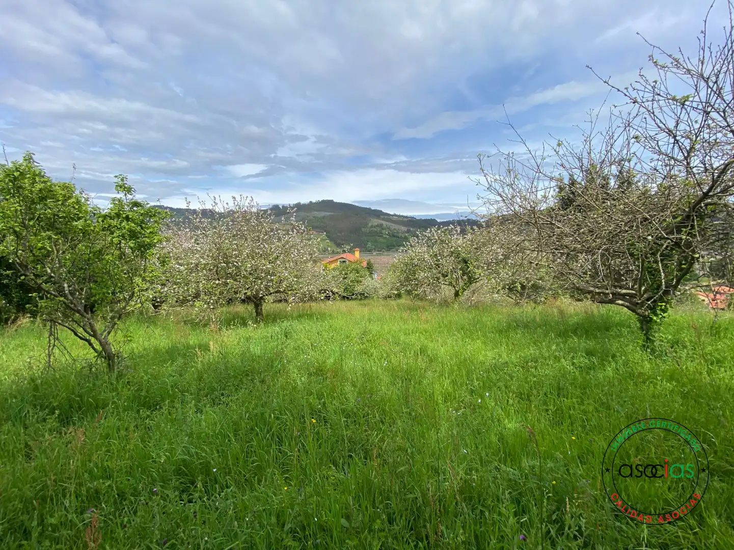 Terreno rustico in vendita a Villaviciosa - AL MUSLERA