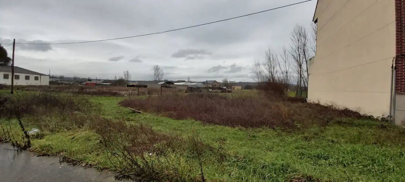 Terreni e lotti in vendita a Camponaraya, imagen 3