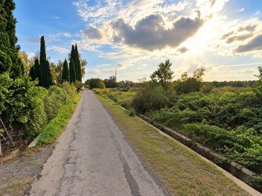 Terreno residenziale in vendita a Partida Almalafa, Parcela