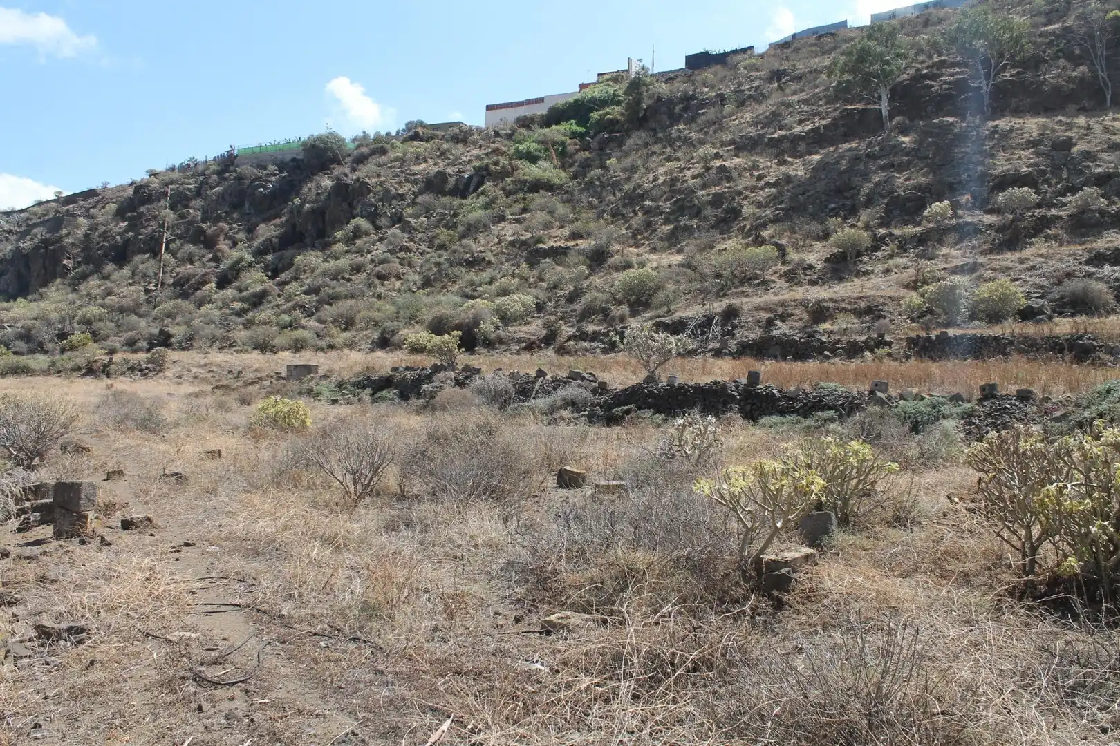 Rural land for sale in San Gregorio, imagen 4