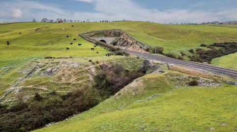 Photo 3 of Industrial buildings for sale in El Olivar - La Magdalena, Colmenar Viejo