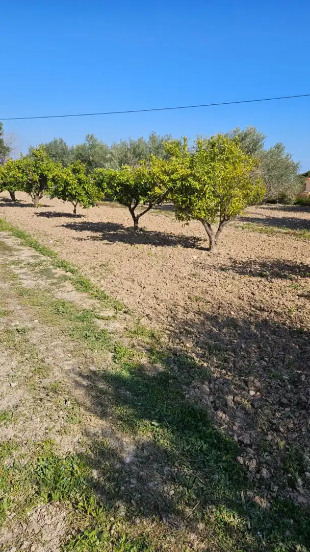 Finca rústica en venda en Villajoyosa / La Vila Joiosa