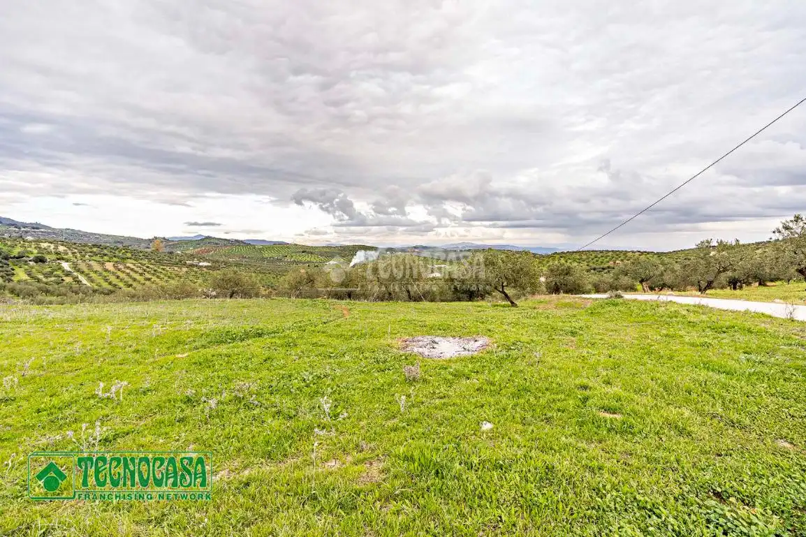 Rural land for sale in Alozaina, imagen 19