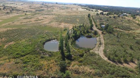 Foto 5 de Finca rústica en venda a De Cartaya Lepe, San Silvestre de Guzmán, Huelva