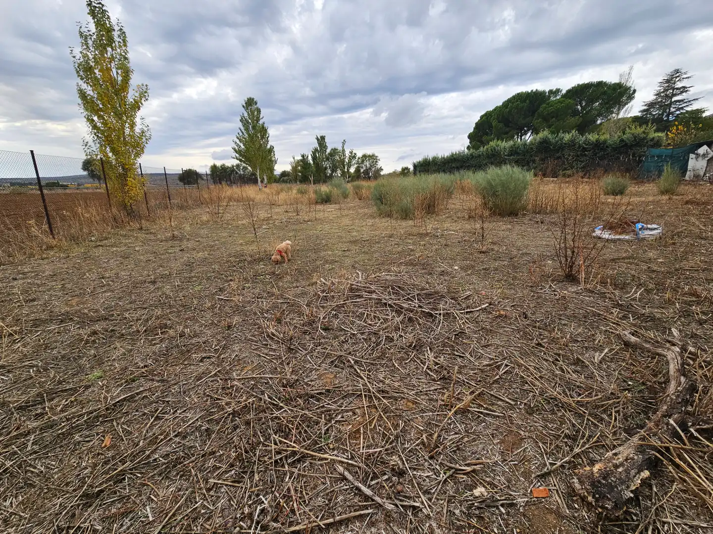 Wohnbaugrundstück zum Verkauf in Camino de la Pañera 14, imagen 12