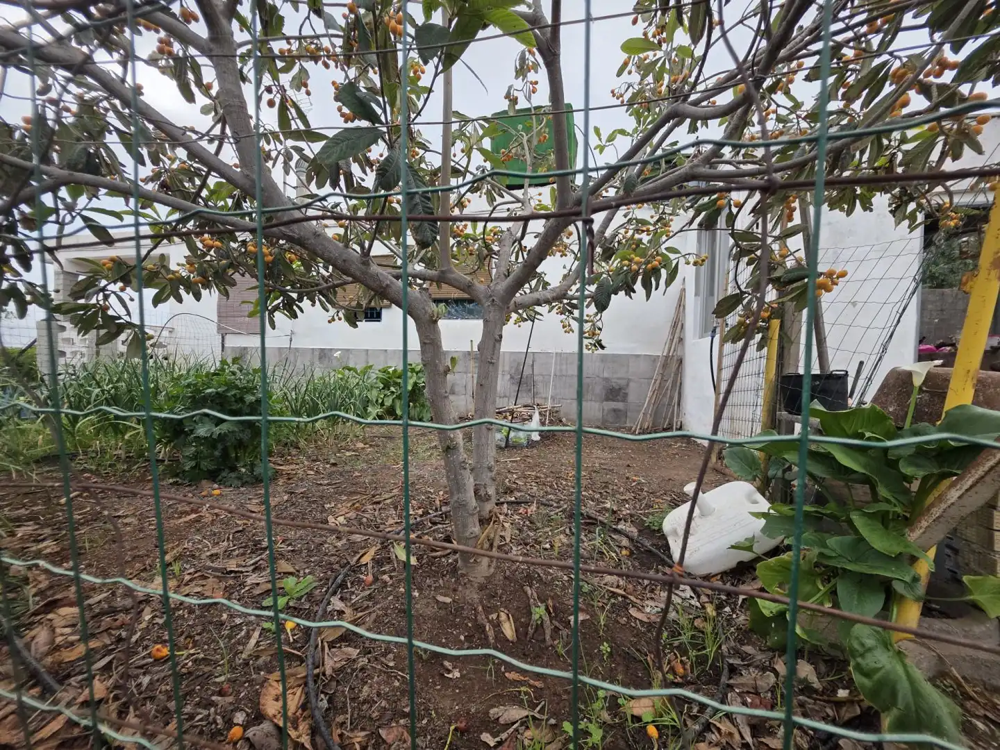 Casa en venta en La Vall d'Uixó, imagen 33