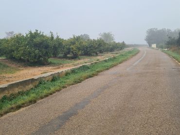 Terreno rustico in vendita a Partidas de interior - Zona Rústica