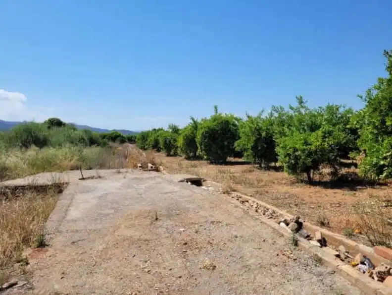 Rural land for sale in Partida Bobalar Pilares, imagen 6