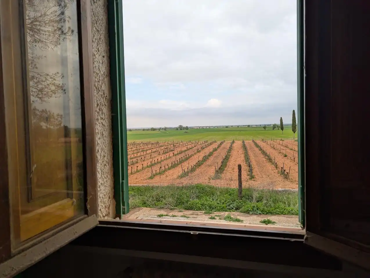 Jardín de Finca rústica en venta en Pozorrubio de Santiago con Jardín privado, Piscina y Sauna