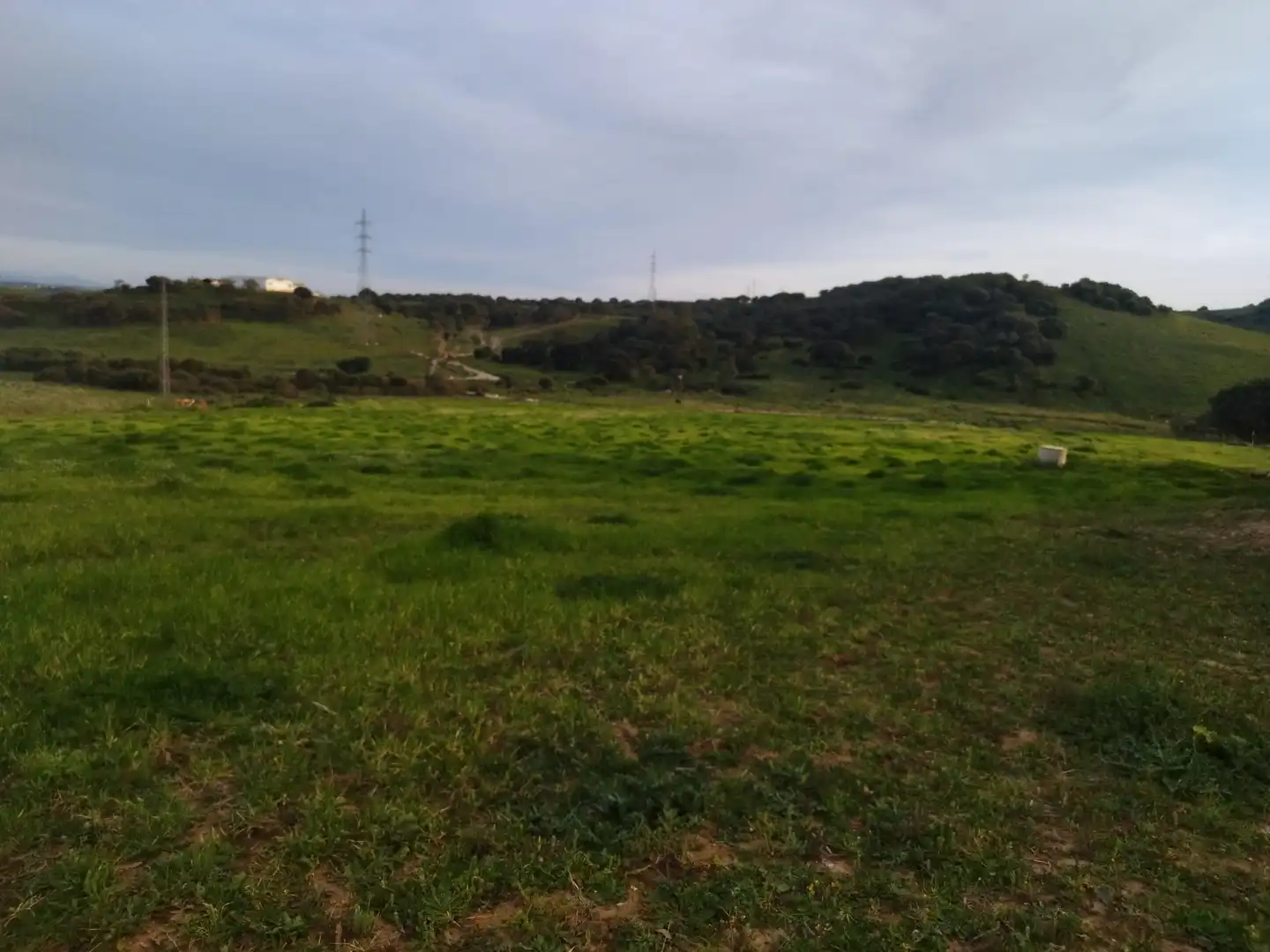 Terreni e lotti in vendita a Medina Sidonia, imagen 18