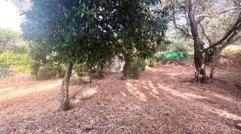 Photo 2 of Country house for sale in N/a, Linares de la Sierra, Huelva