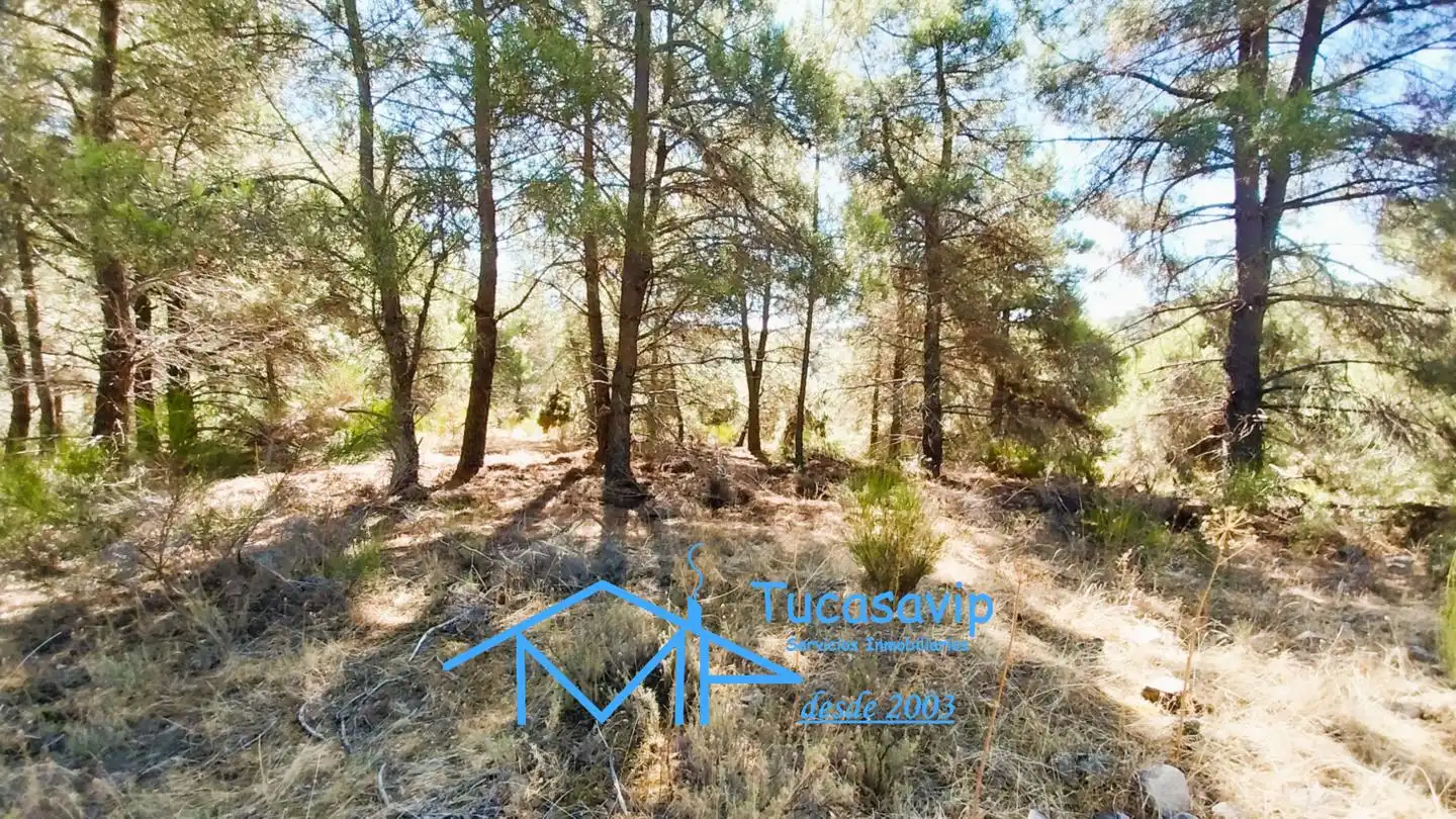 Terreno en venta en Cadalso de los Vidrios
