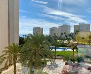 Vista exterior de Apartament de lloguer en Alicante / Alacant amb Terrassa i Piscina comunitària