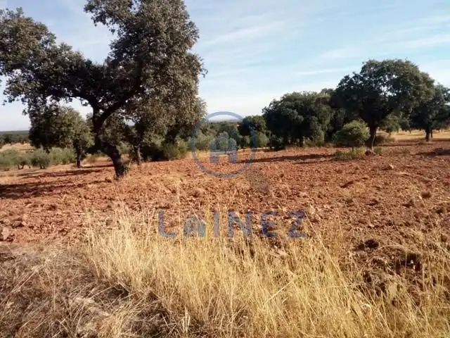 Terreny residencial en venda a Villanueva del Duque, imagen 11