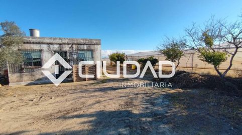 Photo 2 of Land for sale in Lebrija, Sevilla