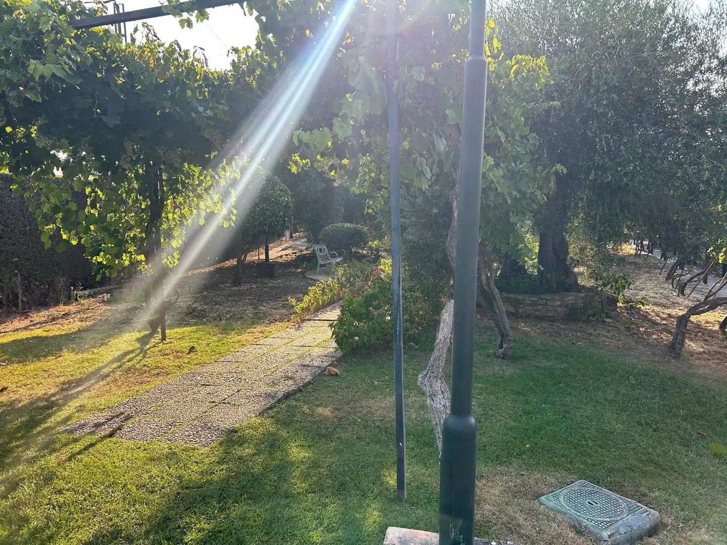 Garden of Country homes for sale in Ronda  with Air Conditioner, Private garden and Furnished