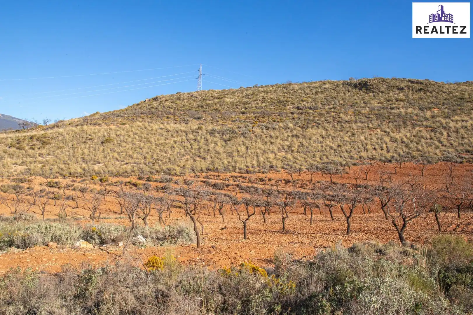 Terrain rustique à vendre à Alcolea, imagen 5