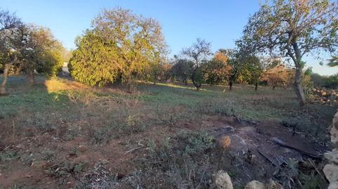 Foto 4 de Casa o chalet en venta en Pedanías Norte, Utrera