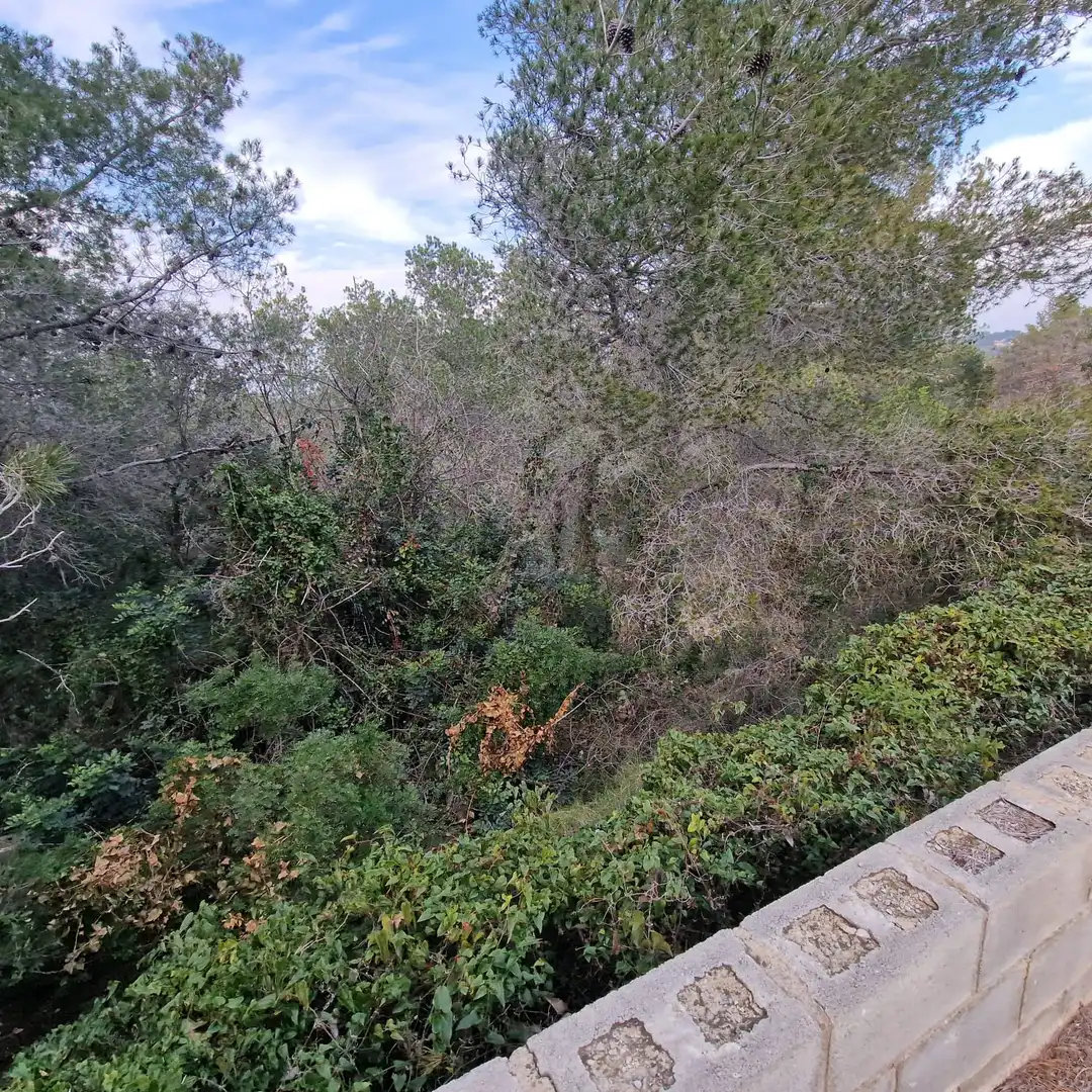 Terreno residencial en venta en Carrer Gessamí 18, imagen 8